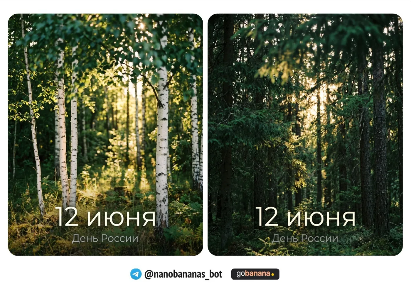 Промт 7 — Минималистичная открытка с лесом