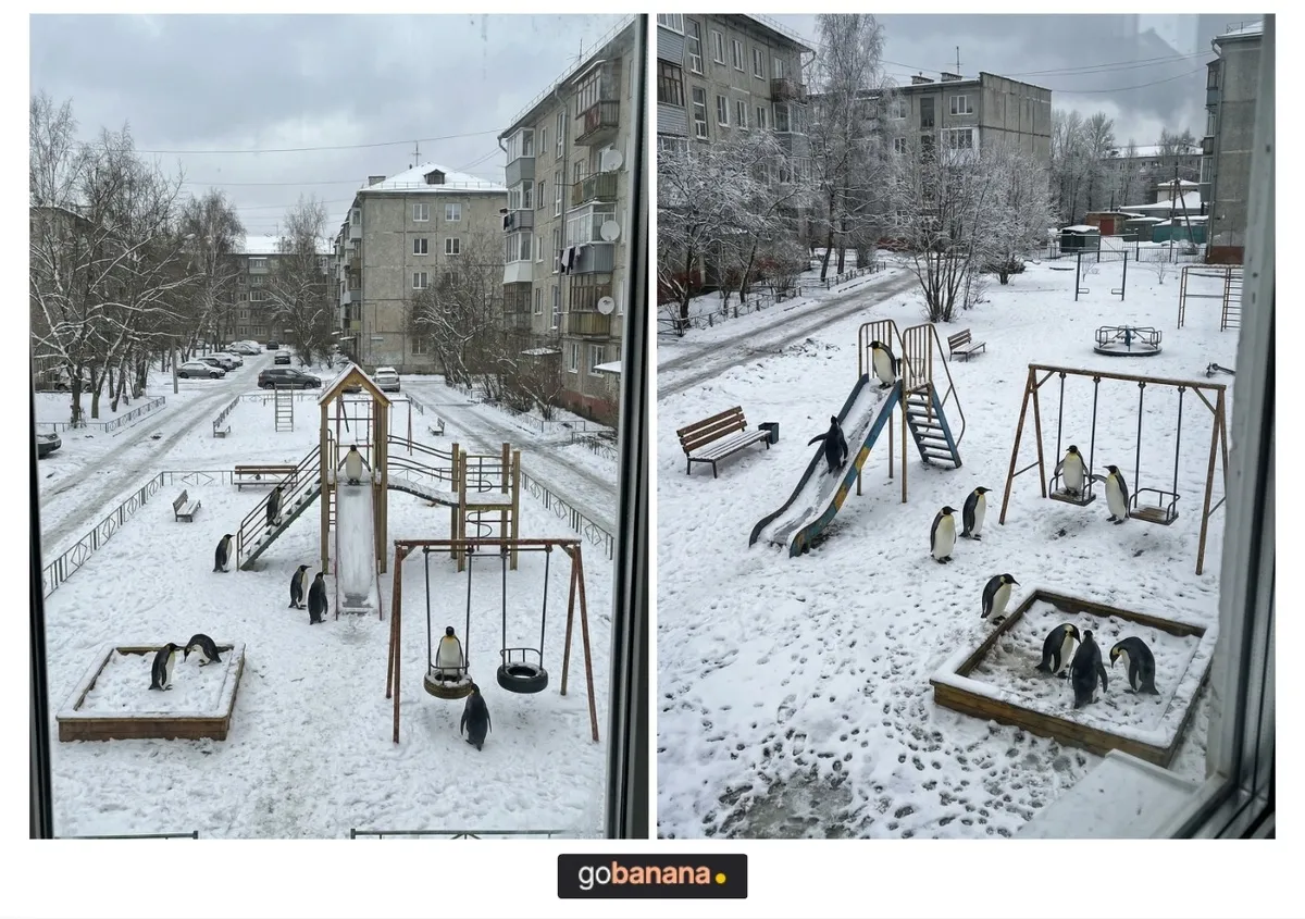 -26