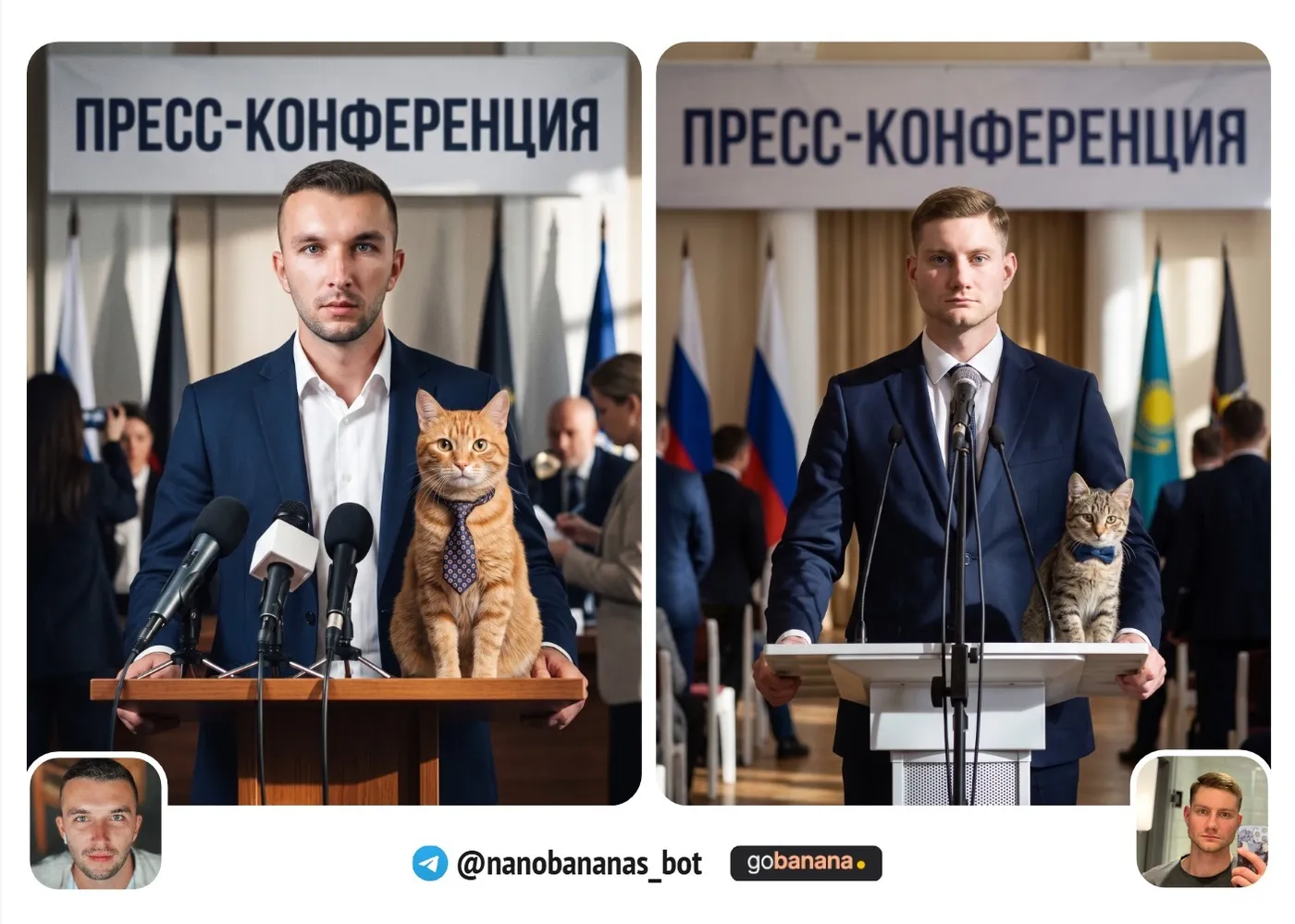 «Пресс-конференция про кота» - editorial с юмором