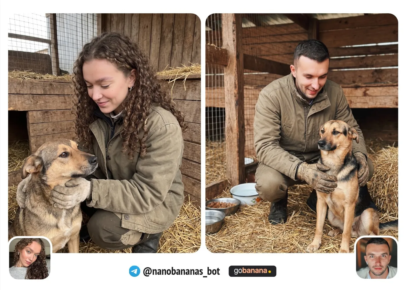Утро в приюте для животных