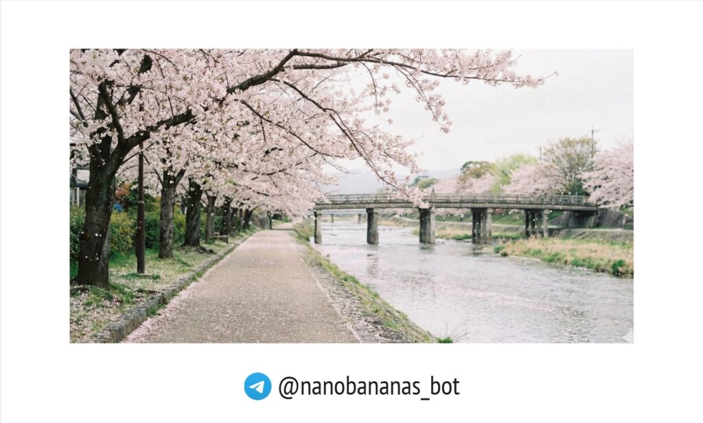 нарисовать картинку нейросетью: сакура