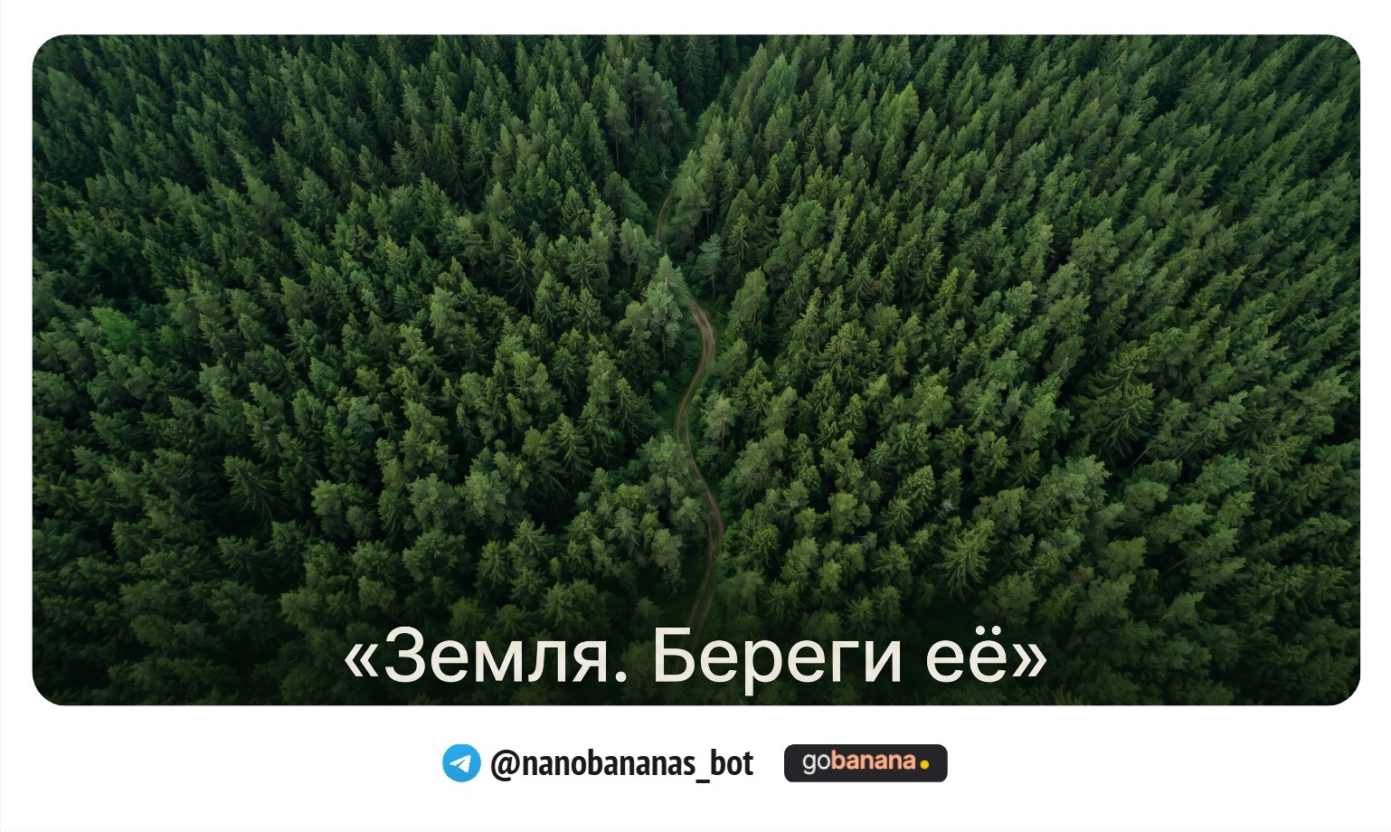 1780910779_blobid9.jpg