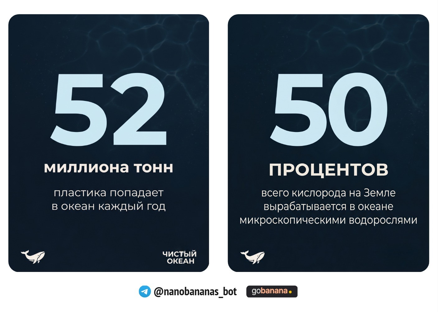 1781006776_blobid10.jpg