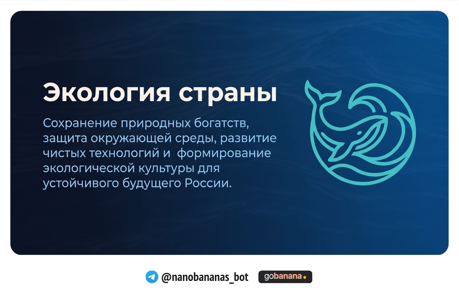 1781006778_blobid12.jpg