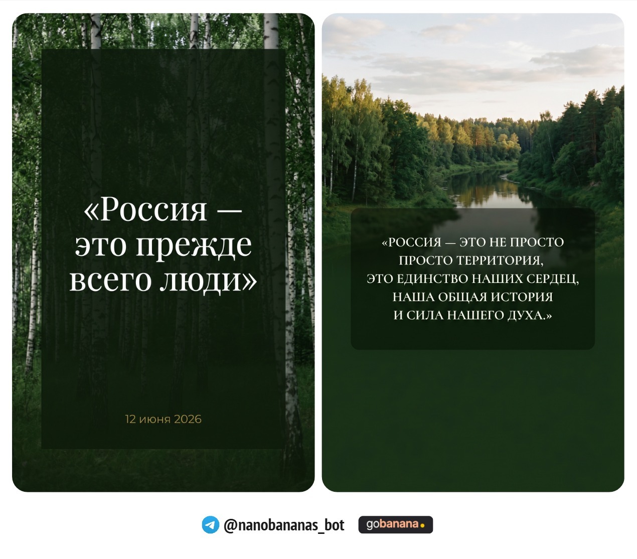 1781190541_blobid11.jpg