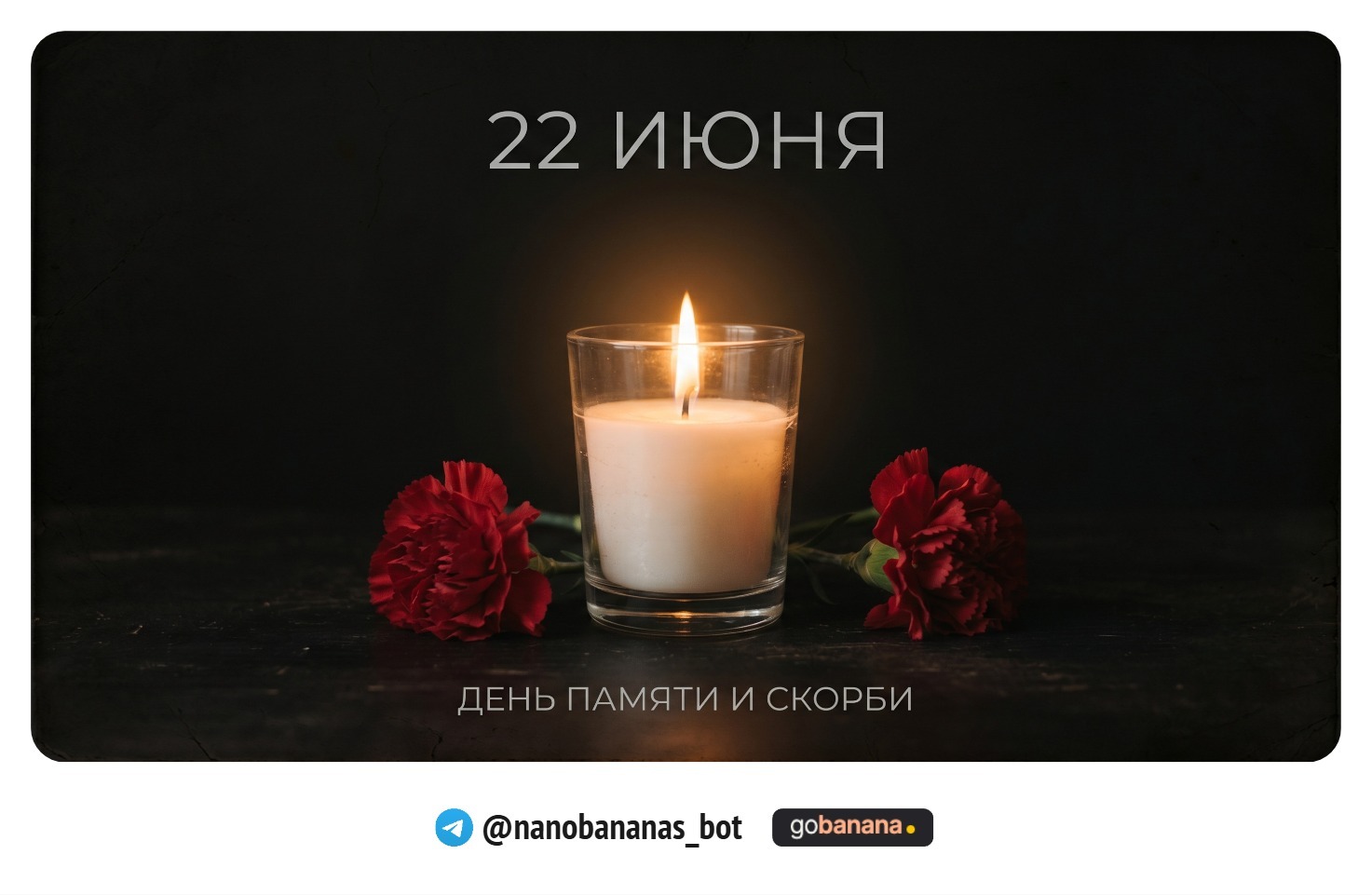 1781505186_blobid0.jpg