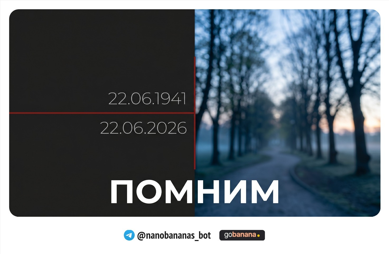1781523616_blobid11.jpg