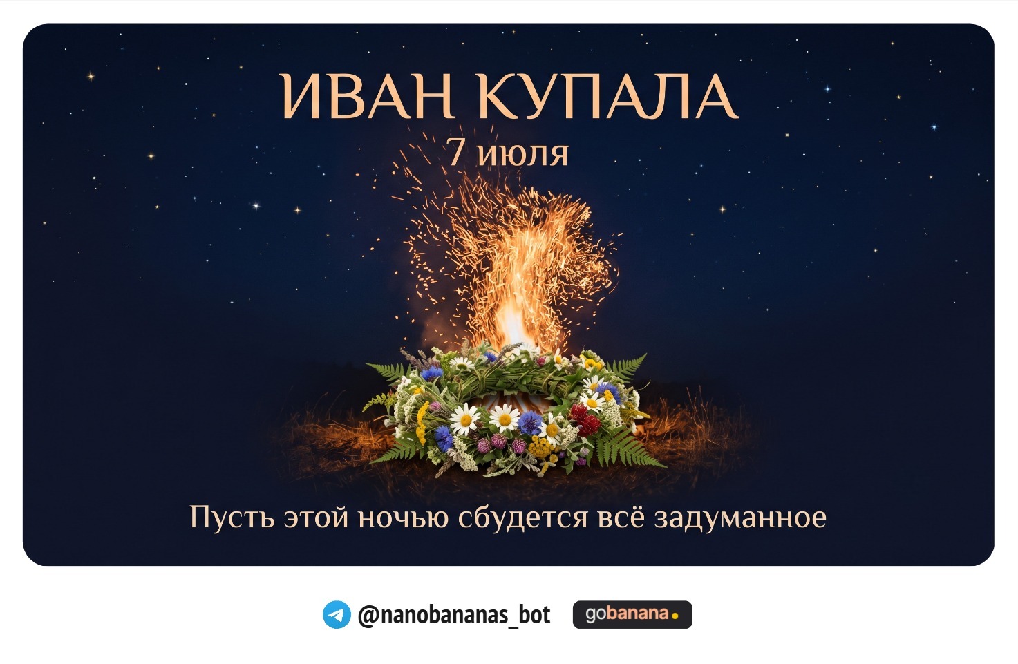 1781704638_blobid7.jpg
