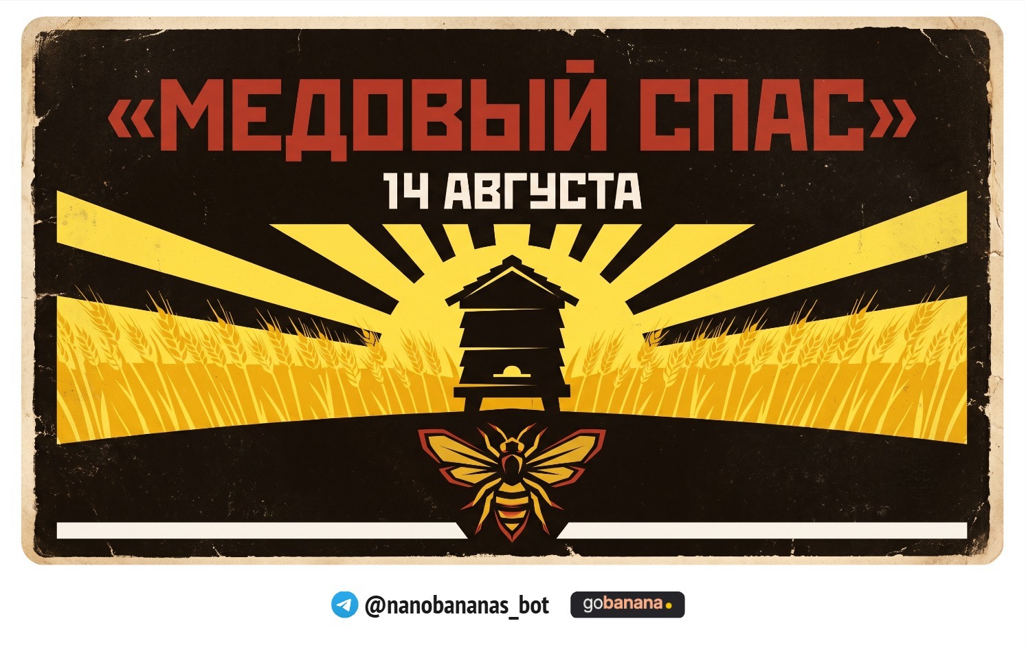 1782831593_blobid12.jpg