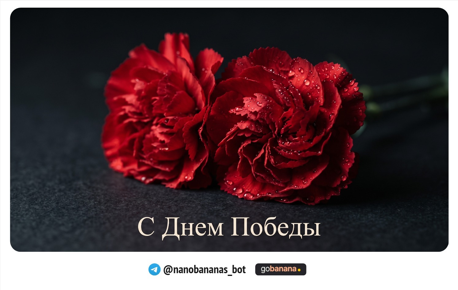 1790329800_blobid9.jpg