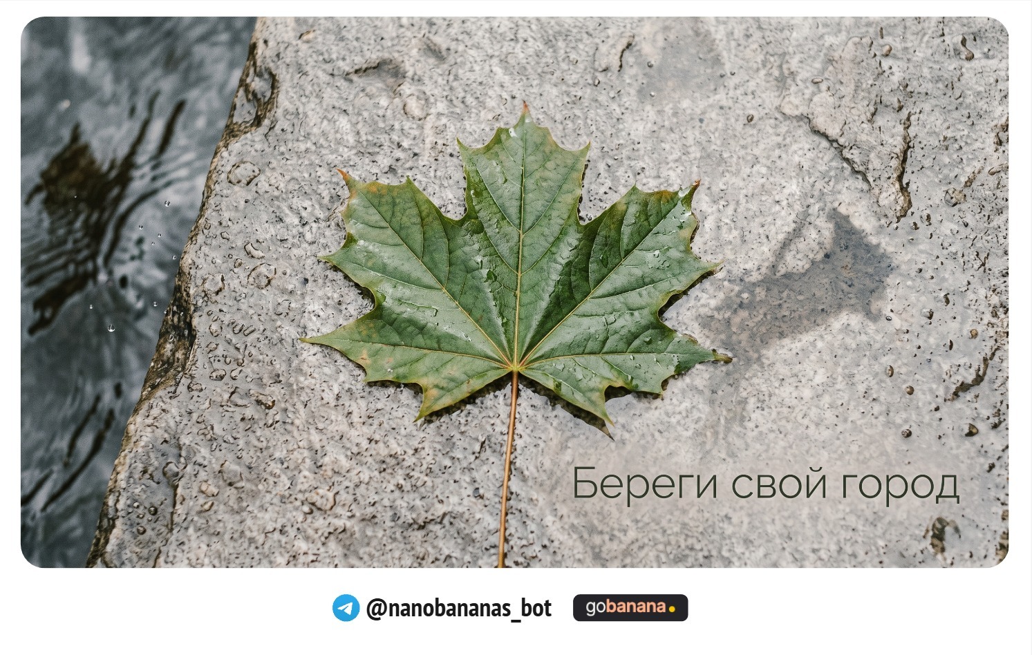 1790756092_blobid9.jpg